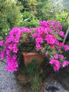 Immagine di Baratta Bao