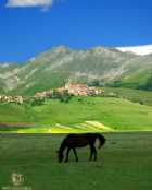 Immagine di Clitumnus