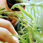 Immagine di Gianpiero Delacroce