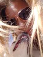 Immagine di mandma-ala