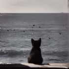 Immagine di non firmato