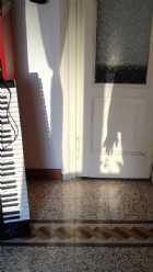 Immagine di giuliasiniscalchi