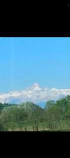 Immagine di Dea bendata