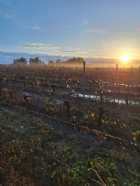 Immagine di capesyde