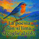 Immagine di Fringuello