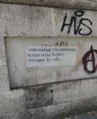 Immagine di anitadim