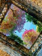 Immagine di MaeveTalia