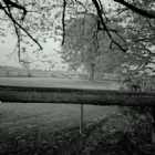 Immagine di Leonardo.Rossi