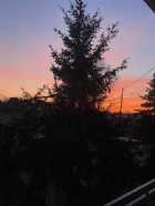 Immagine di La pensatrice