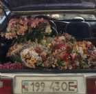 Immagine di littlecharmer