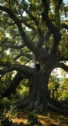Immagine di PostcardsFromFarAway