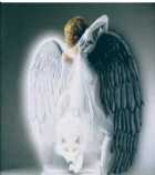 Immagine di Iltuonome