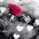 Immagine di gocciadiluna