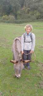 Immagine di VOLODIGABBIANO