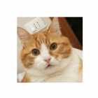 Immagine di poesie profonde