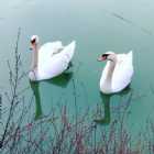 Immagine di vecchiogiocattolo