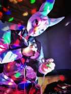 Immagine di White Rabbit