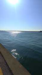 Immagine di ANDREA OCCHI