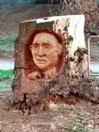 Immagine di woodenship