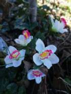 Immagine di Checco97