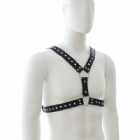 Immagine di Michele d d