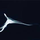 Immagine di Un poeta perso