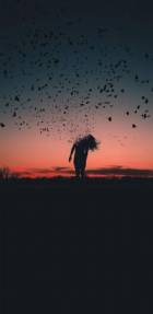 Immagine di Fleurebelle