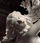 Immagine di D-a-f-n-e-