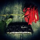 Immagine di Oblivion