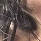 Immagine di Deaexmachina