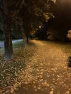 Immagine di Sweetwoman