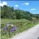 Immagine di MonicaP.