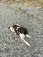 Immagine di Camilla81