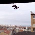 Immagine di lapo attova