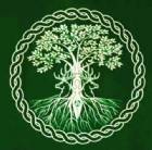 Immagine di Anima Lieve