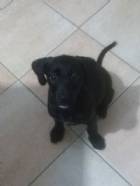 Immagine di Alain Gaudenzi