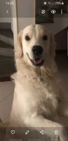 Immagine di Alan Carter