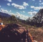 Immagine di Tomorrow