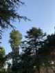 Immagine di Federic0