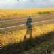 Immagine di retlaW