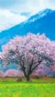 Immagine di Solounumero18021983