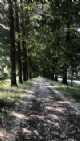 Immagine di Saram