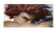 Immagine di Blesionat