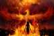 Immagine di Phoenix81
