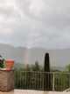 Immagine di Maurice