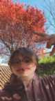 Immagine di SaSSo