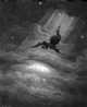 Immagine di Lost Wings