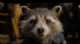Immagine di Rocket