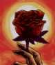 Immagine di la rosa