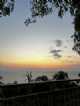 Immagine di Annare